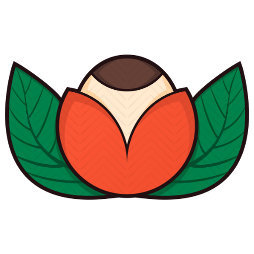 Logo Conhecendo Maués